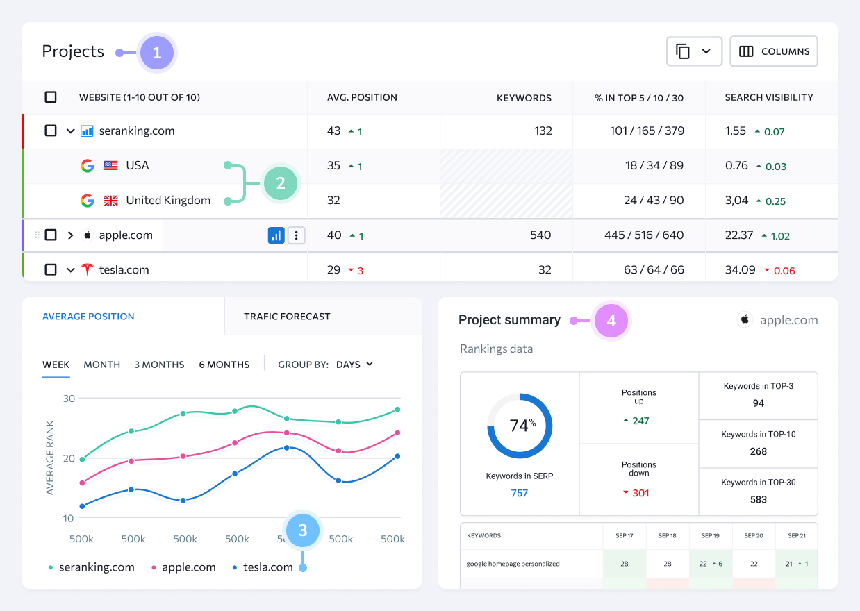 Seranking Rank Tracking Dashboard
